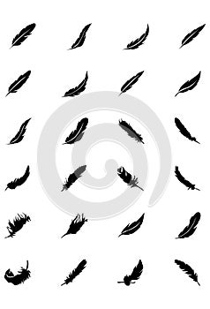 Feathers Vector Solid Icons 1