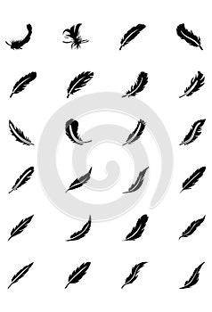 Feathers Vector Solid Icons 2