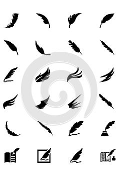 Feathers Vector Solid Icons 4 photo
