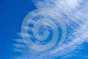 Feathery clouds in the blue sky. Light cirrus clouds against the blue sky