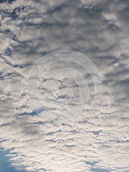 Feathery clouds are translucent clouds with an elongated shape. In the background is a blue sky