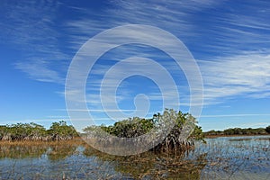 Feathery cloudscape over Nine Mile Pond in Everglades National Park, Florida.