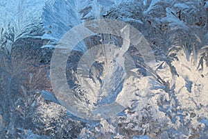 Feathery frost pattern on window glass