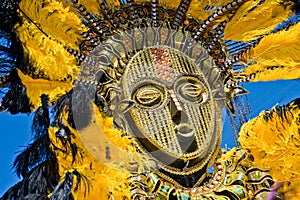 Feathery carnival mask photo