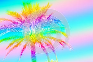 Feathery palm tree on sky background toned in rainbow neon colors. Surrealistic funky style. Copy Space for Text. Beach vacation