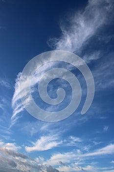 Feathery white clouds in clear blue sky