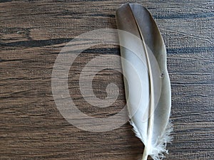 the feathure on the wooden table