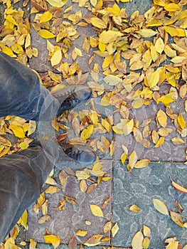 Feats with shoes and yellow leafs on ground