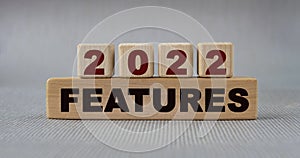 FEATURES 2022 - words on wooden cubes on a gray background