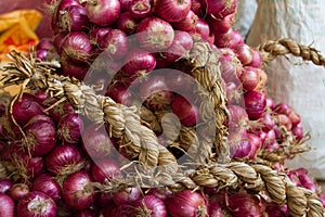 Features of harvesting red onions photo