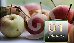 February 1 ,1st day of the month. Apples - vitamins you need every day. Winter month. Day of the year concept.