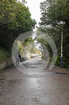 February 1, 2022. The man is walking down an alley among trees. Eastbourne East Sussex England