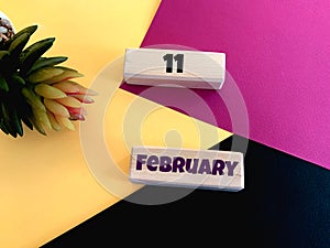 February 11 on wooden cubes on a pink,yellow, black background.