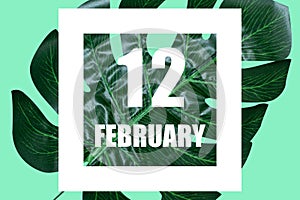 february 12th. Day 12 of month,Date text in white frame against tropical monstera leaf on green background winter month