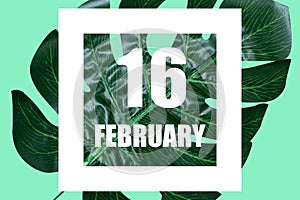 february 16th. Day 16 of month,Date text in white frame against tropical monstera leaf on green background winter month