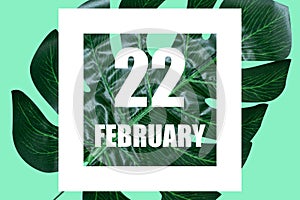 february 22nd. Day 22 of month,Date text in white frame against tropical monstera leaf on green background winter month