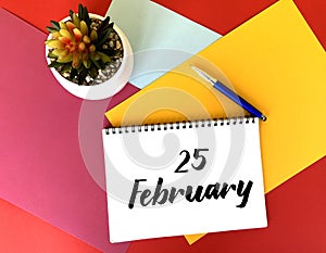 February 25 on a white notebook on a colorful bright background.Next to it is a potted flower and a blue pen.