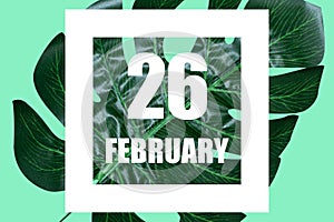 february 26th. Day 26 of month,Date text in white frame against tropical monstera leaf on green background winter month