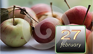 February 27, 27th day of the month. Apples - vitamins you need every day. Winter month. Day of the year concept.