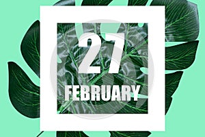 february 27th. Day 27 of month,Date text in white frame against tropical monstera leaf on green background winter month