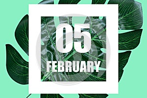 february 5th. Day 5 of month,Date text in white frame against tropical monstera leaf on green background winter month