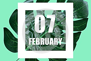 february 7th. Day 7 of month,Date text in white frame against tropical monstera leaf on green background winter month