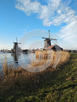 February afternoon almost at sunset time. soft colors and fairy-tale atmosphere surround the traditional windmills typical of zaan