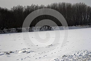 February frozen river Borcea