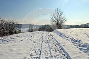 February nature winter scenes of Zagreb`s surroundings, Croatia