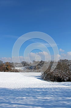 February nature winter scenes of Zagreb`s surroundings, Croatia