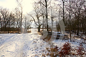 February sun playing with snow clad wood