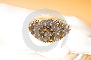 Traditional wedding ring of the sardinia called fede sarda photo