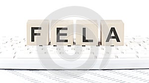 Federal employers liability act FELA text on wooden block