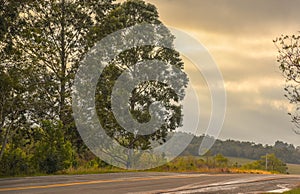 Federal highway cutting the fields of the pampa biome in southern Brazil