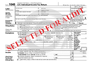 Federal Tax Return Audit