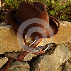 Fedora hat and bullwhip