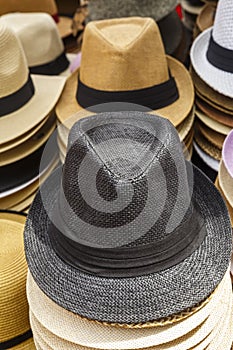 Fedora Hats