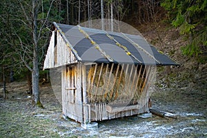 Feeder for forest animals in Ilanovska valley in Liptov - Slovakia.