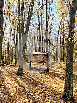 Feeder for wild animals in the middle of the forest