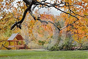 Feeders for birds in the autumn park.