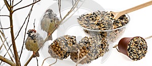 Feeders for birds from seeds and sparows