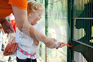 Feeding animals photo