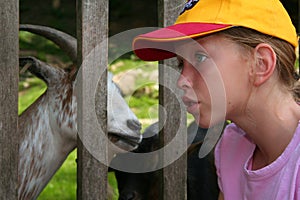 Feeding animals photo