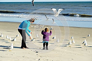 Feeding birds at the beach