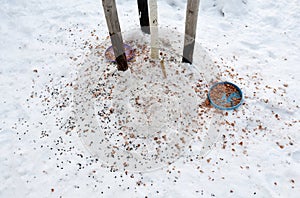 Feeding birds on the feeder using sunflower, millet, flax, feeder, bowl, snowdrift, tallow in the shape of a wheel. compressed fat