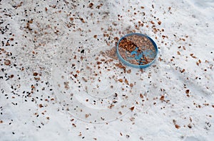 Feeding birds on the feeder using sunflower, millet, flax, feeder, bowl, snowdrift, tallow in the shape of a wheel. compressed fat