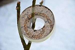 Feeding birds on the feeder using sunflower, millet, flax, feeder, bowl, snowdrift, tallow in the shape of a wheel. compressed fat