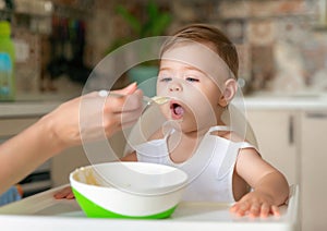 Feeding child. Cute baby eating food. His mother feeds him with a spoon. First lure. Portrait of a happy young child in