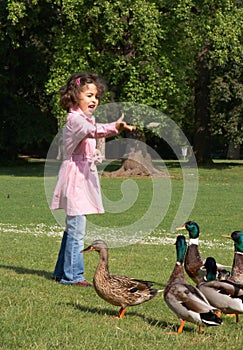 Feeding ducks