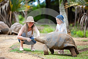 Feeding Giant Turtle